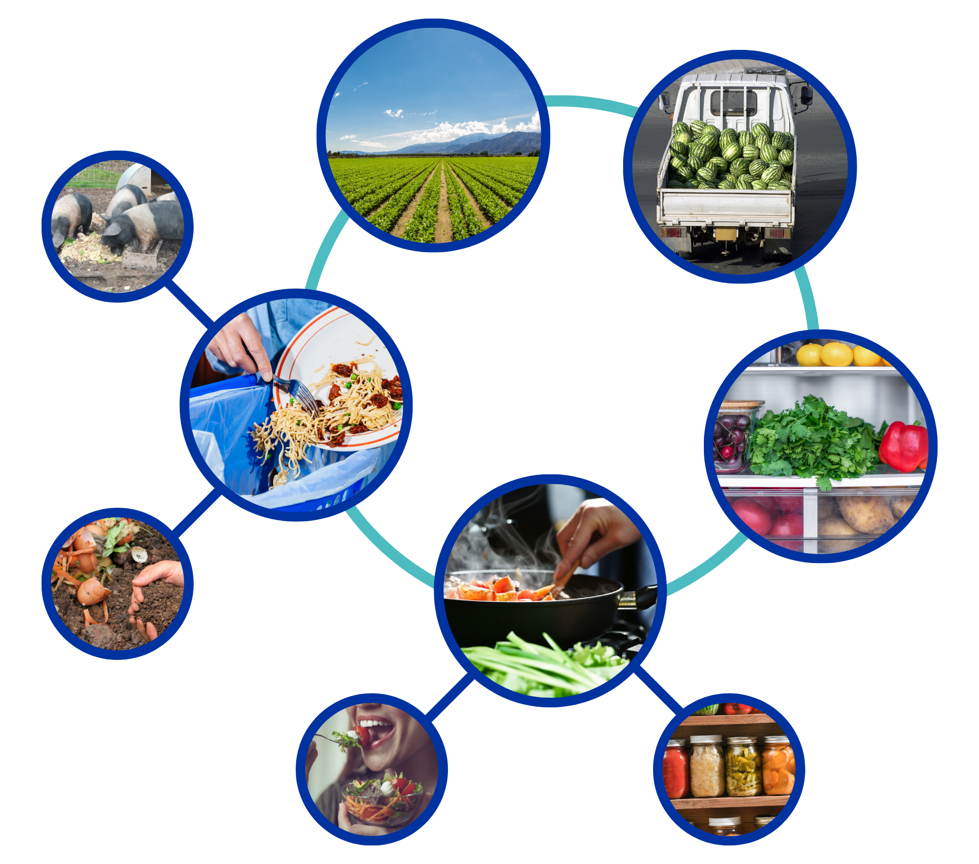 Images showing the stages of the food recovery system