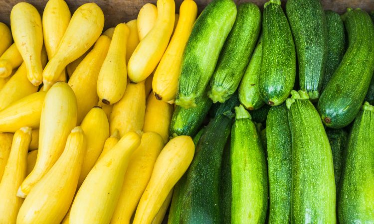 Squashs and zucchini