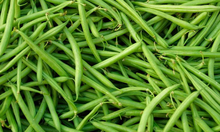 green beans