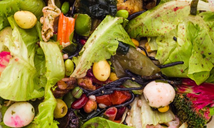 Pile of decomposing food scraps